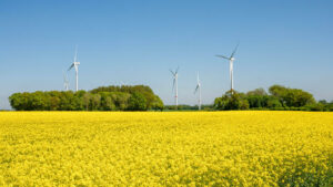 Energie: Verfassungsgericht: Länder können Windräder im Wald nicht pauschal verbieten