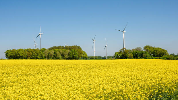 Energie: Verfassungsgericht: Länder können Windräder im Wald nicht pauschal verbieten
