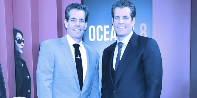 Investors Sue Gemini, Winklevoss Twins Over High-Yield Earn Products