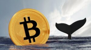 Bitcoin-Verteilung: Krypto-Kleinanleger auf Walfang