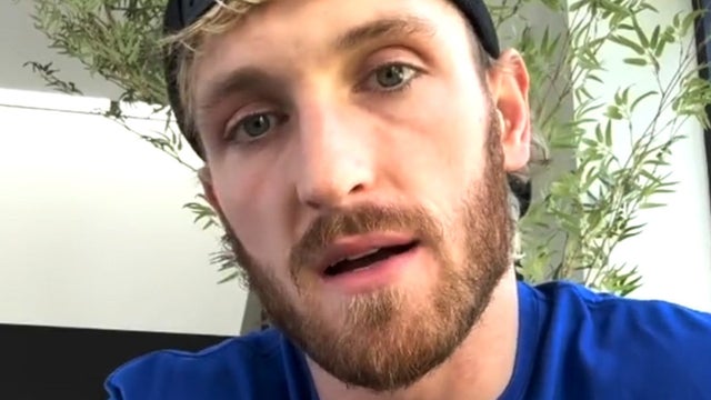 Logan Paul apologises and reveals $1.3M refund program for CryptoZoo investors amid Coffeezilla drama