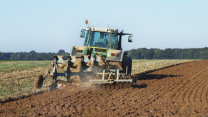 Nahrungsmittelpreise: Erzeugerpreise landwirtschaftlicher Produkte steigen langsamer