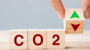 Umwelt: Für den Klimaschutz CO2 sparen: Wie man seinen ökologischen Fußabdruck schnell und einfach verringern kann