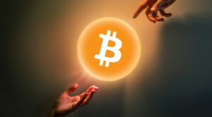 Vom Krypto-Noob zum Bitcoin-Profi-Hodler in 5 Schritten