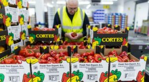 Kampf gegen die Inflation: Regierungen in Europa nehmen Unternehmensmargen unter die Lupe