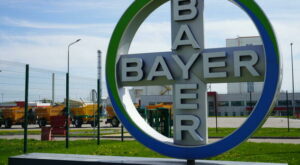 Ukraine: Saatmaschine, Trockenanlage – und Bunker: Wie Bayer sein Werk in der Ukraine ausbaut