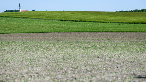 Land- und Meeresflächen: Kein Regulierungsstopp: EU-Kommission versucht Naturschutzgesetz zu retten