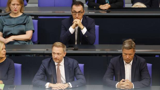 Lindner, Habeck und Özdemir: Kein „Kahlschlag“ bei Förderung ländlicher Räume