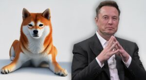 Tesla's Elon Musk Denies Dogecoin Whale Allegations, Attorney Challenges Wallet Associations – Bitcoin News