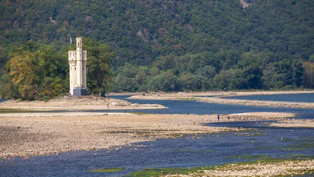 Klimawandel: Sorge vor Wasserknappheit wächst – Umweltbundesamt bringt Beschränkungen ins Spiel