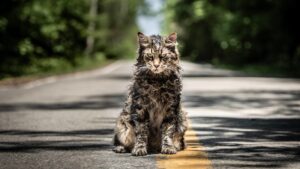 Stephen-King-Horror „Friedhof der Kuscheltiere“: Erste Bilder zum Prequel und Starttermin enthüllt