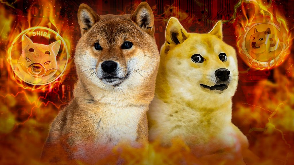 Noch Dogecoin oder Shiba Inu im Depot?