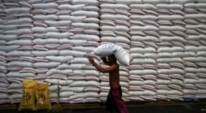 Lebensmittelkrise: Reismangel und steigende Preise treffen die Ärmsten der Welt