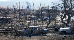 USA: Immer mehr Feuer unter Kontrolle auf Maui - Zahl der Toten steigt auf 96