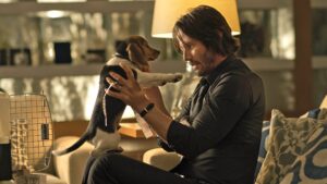 Teuerster Hundehaufen der Filmgeschichte: Darum zahlte „John Wick“ 5.000 Dollar für Kot