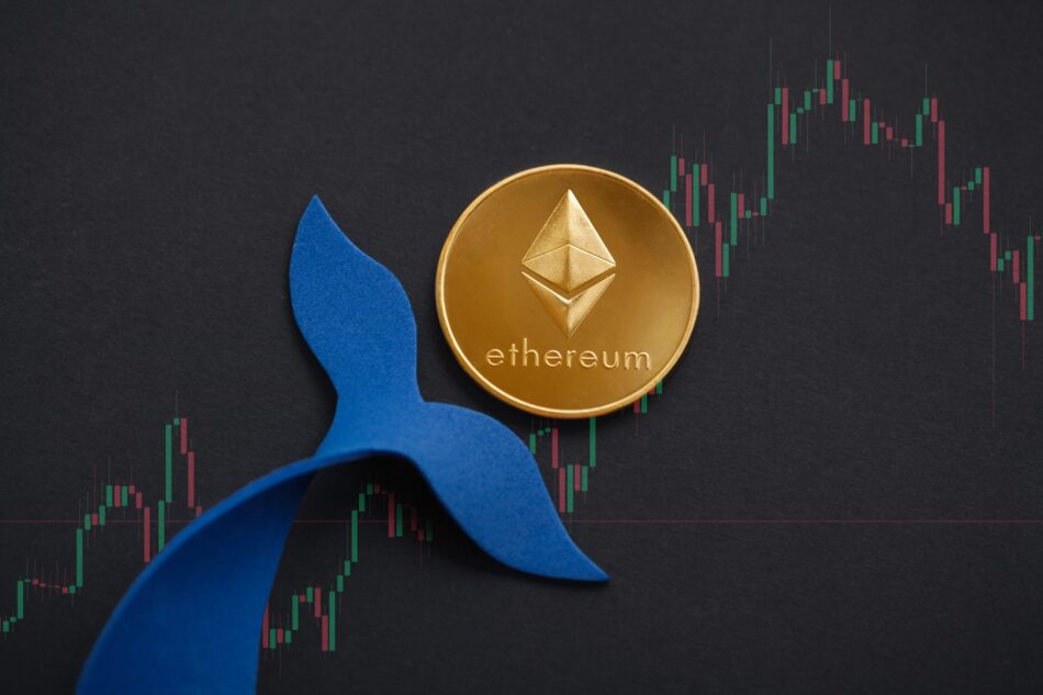 Ethereum-Wale besitzen erstmals seit 2016 über 32 Prozent aller ETH.