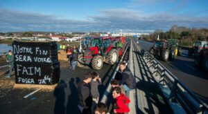 Agrarpolitik: Europas Bauernstaat: Warum Frankreichs Landwirte so unheimlich mächtig sind