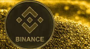 Binance Coin (BNB)