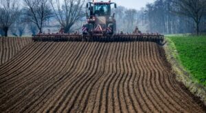 Landwirtschaft: EU-Kommission will laxere Umweltregeln erlauben