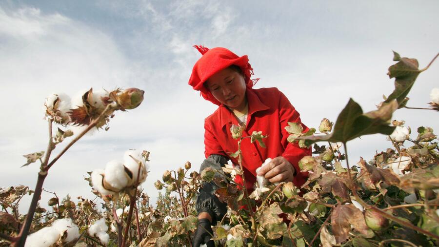 Lieferketten: EU-Staaten stimmen für Verbot von Produkten aus Zwangsarbeit – trotz deutscher Enthaltung