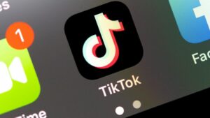 Social Media: Tiktok geht gegen Europa-Spitzenkandidaten der AfD vor