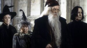 „Harry Potter“-Star schießt gegen erwachsene Fans: „Es ist für Kinder“