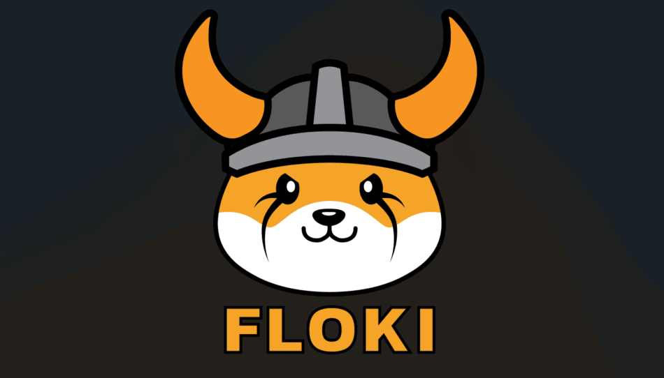 FLOKI3