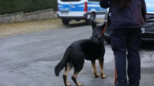 Kriminalität: Razzia gegen Schleuser geht in NRW weiter