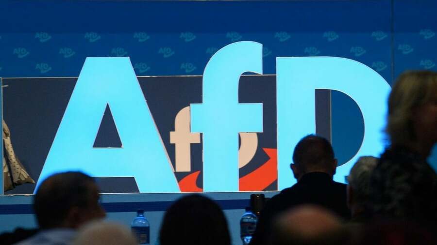 Parteien: AfD finanziert sich fast zur Hälfte aus Mitteln des Staates