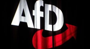 Angriff auf Politiker: AfD-Abgeordnete vor dem Landtag in Stuttgart verletzt