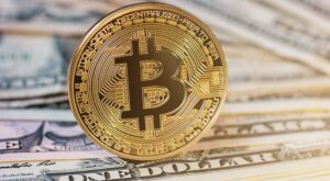 Immer mehr Blockchain-Entwickler bauen auf der Bitcoin Blockchain