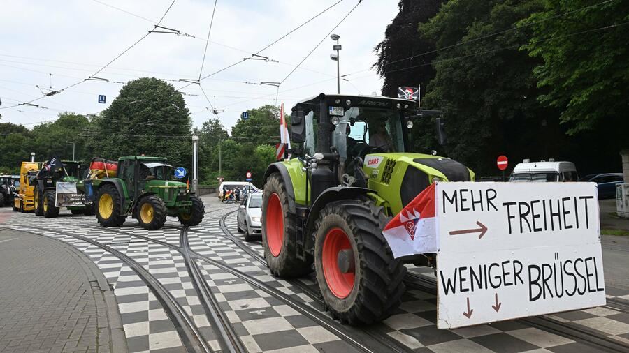 Klima: Gegen massiver Proteste der Bauern: EU beschließt Pflicht zur Renaturierung