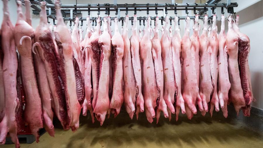 Sonderzölle: China kündigt Anti-Dumping-Untersuchung für Schweinefleisch aus Europa an